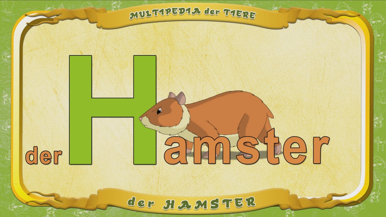 Multipedia der Tiere. Buchstabe H - der Hamster