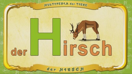 Multipedia der Tiere. Buchstabe H - der Hirsch