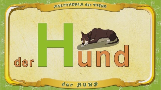 Multipedia der Tiere. Buchstabe H - der Hund