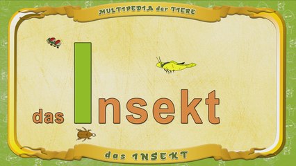 Multipedia der Tiere. Buchstabe I - das Insekt
