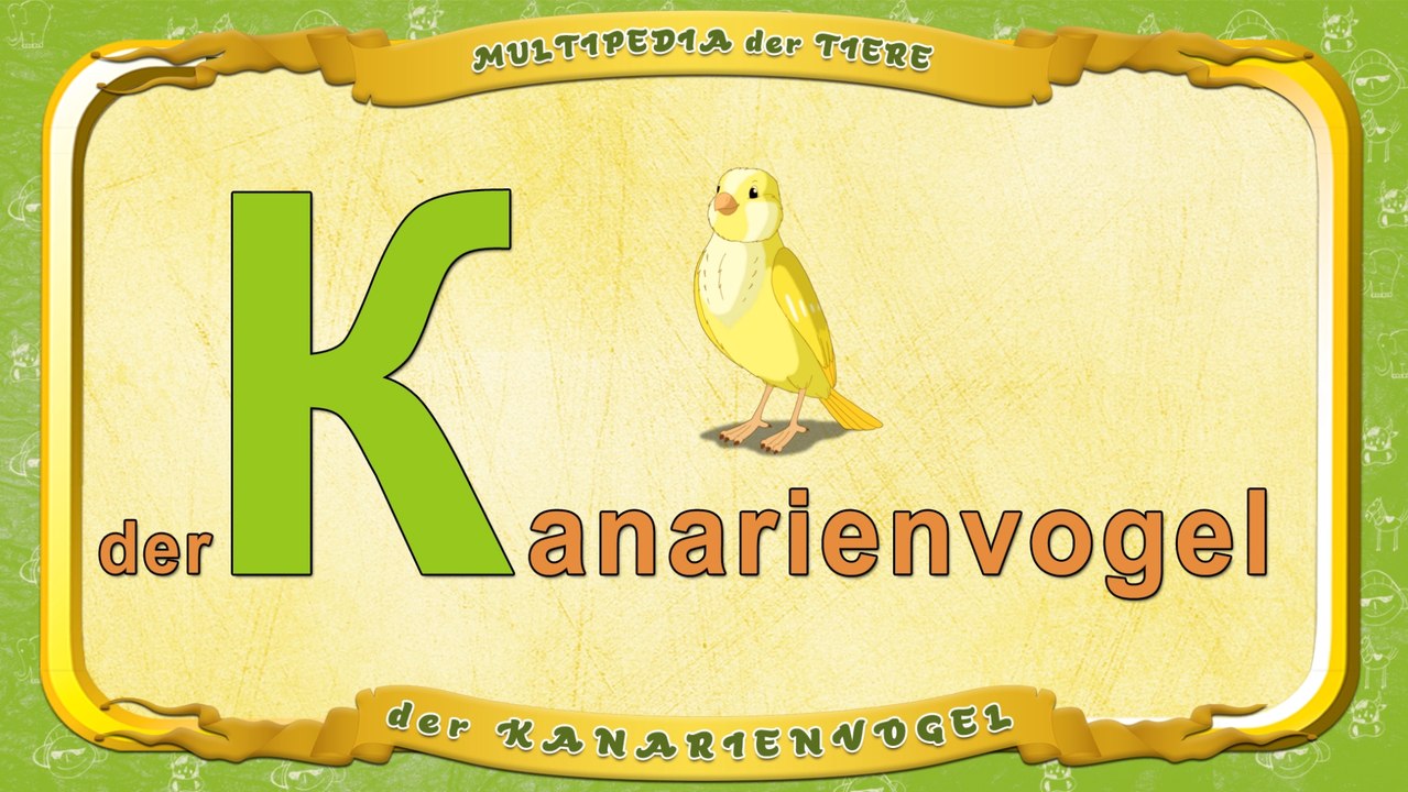 Multipedia der Tiere. Buchstabe K - der Kanarienvogel