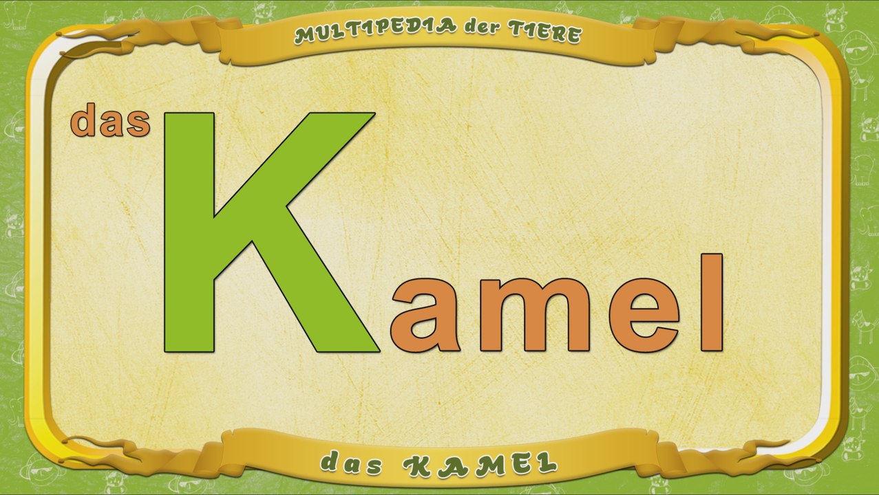 Multipedia der Tiere. Buchstabe K - das Kamel