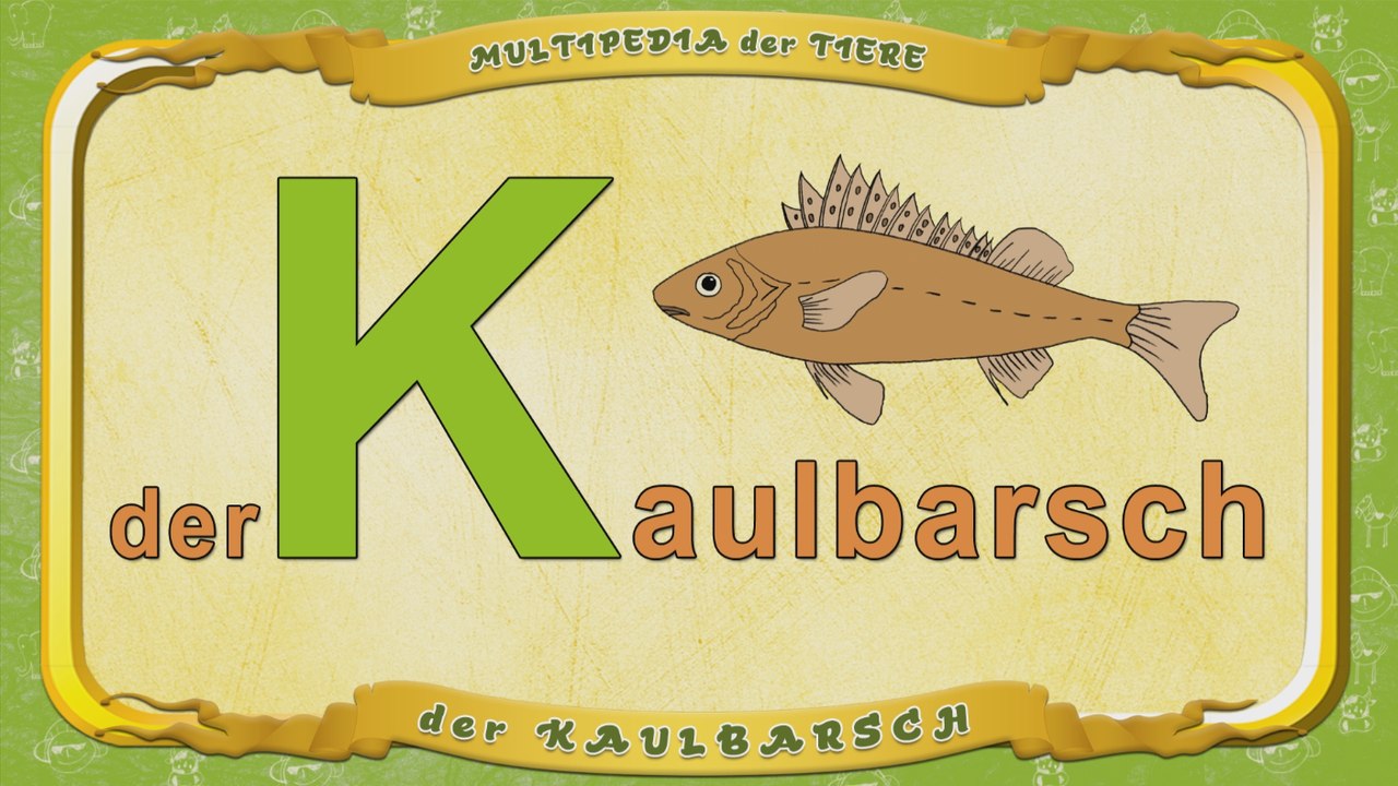 Multipedia der Tiere. Buchstabe K - der Kaulbarsch