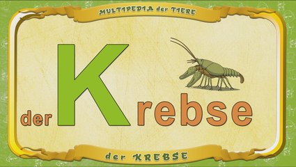 Multipedia der Tiere. Buchstabe K - der Krebse