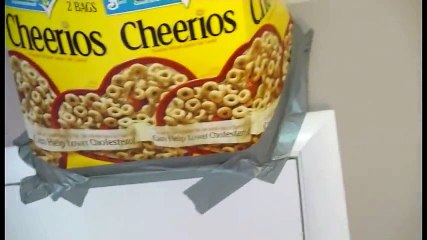 Pranks Funny  Funny Mealworm Surprise Prank