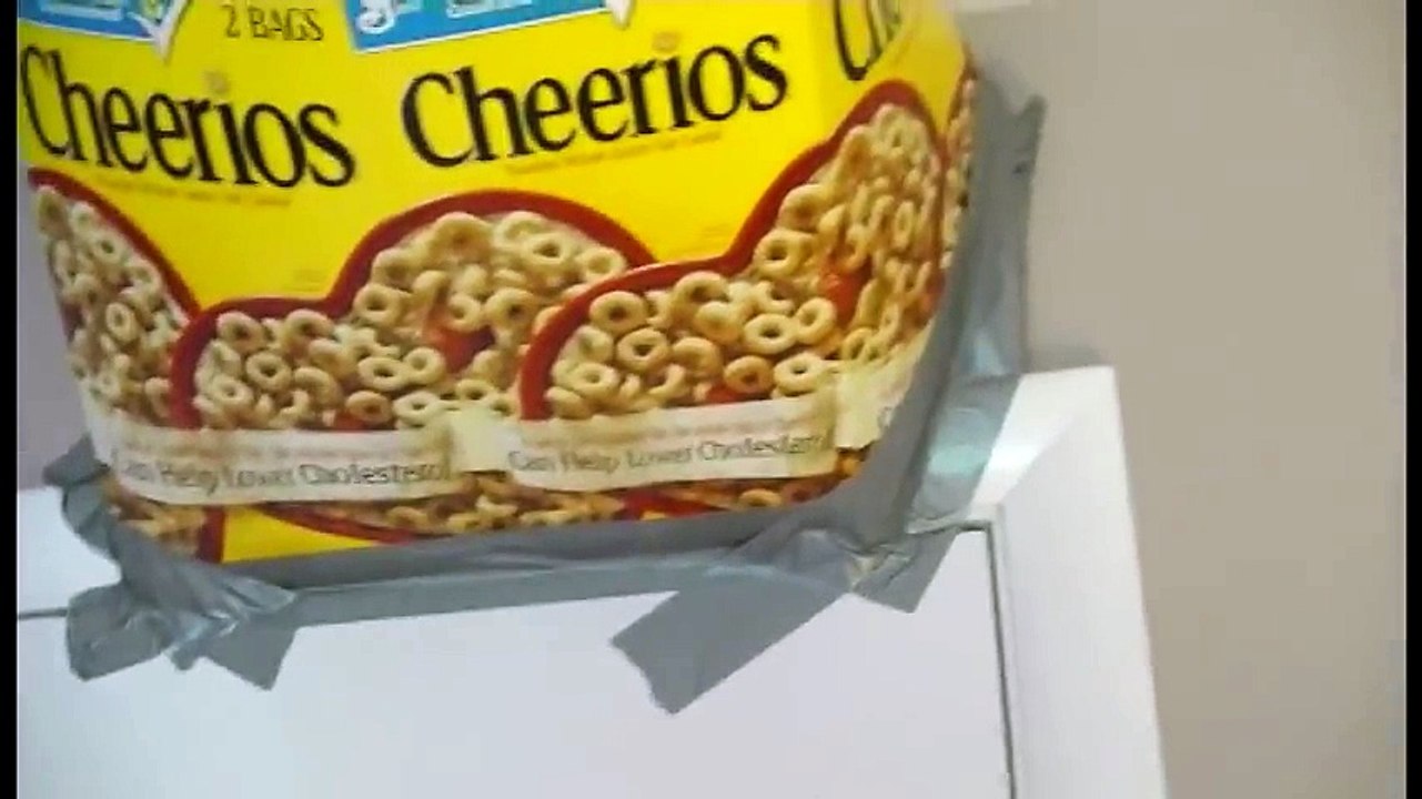 Pranks Funny  Funny Mealworm Surprise Prank