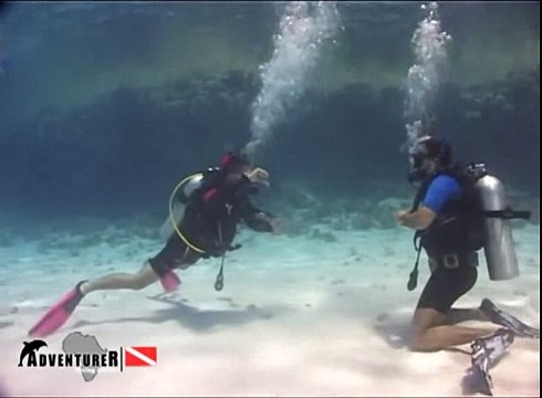 Качание на ластах Курс OWD открытая вода подводное плавание