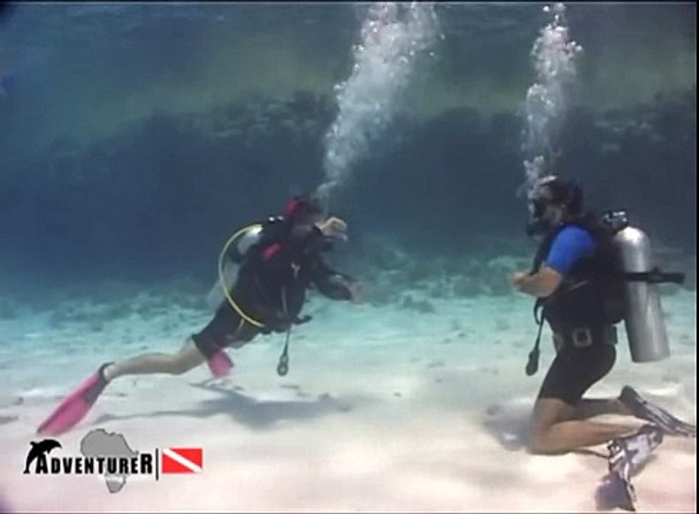 Качание на ластах Курс OWD открытая вода подводное плавание