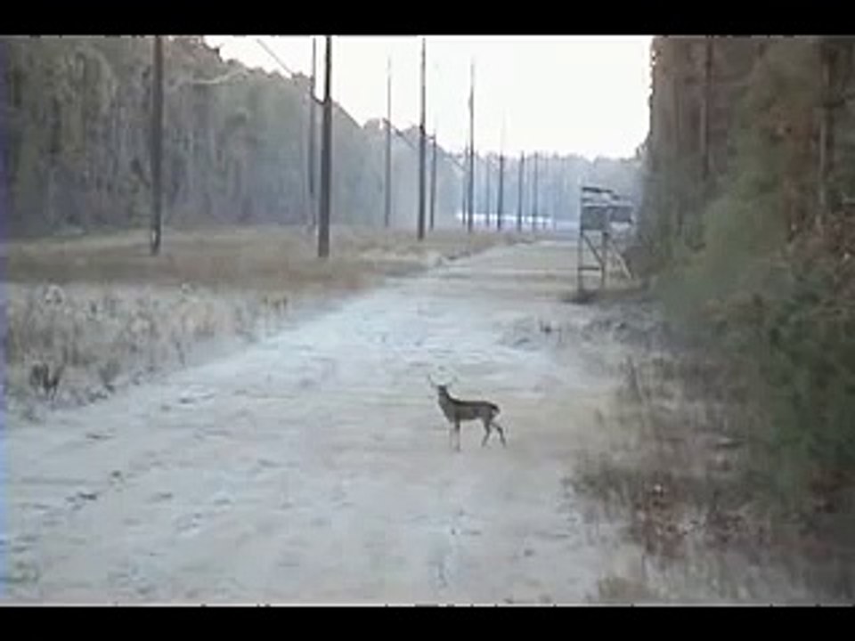 Worst Hunter vs. Dumbest Deer