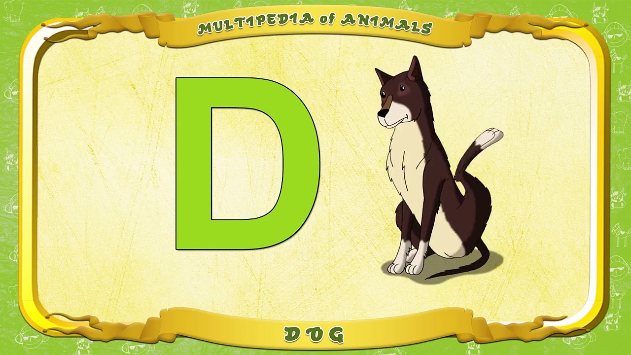 Multipedia of Animals. Letter D Dog