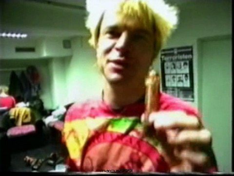 Die Toten Hosen - Im Auftrag des Herrn (DVD , Teil 1)