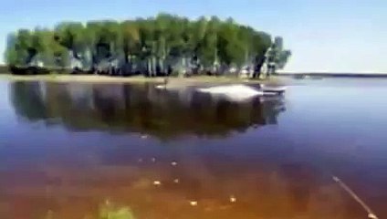 Заехал на водных лыжах прямо в палатку