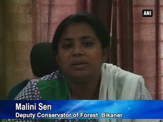 Bikaner: 8-months pregnant woman finishes 16km walking physical test for job