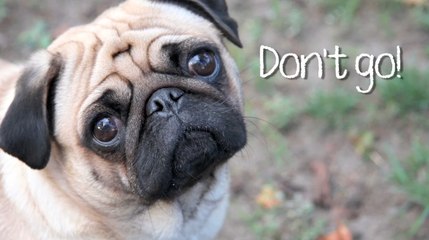 'Out Of Frame' With Buff: Episode 6