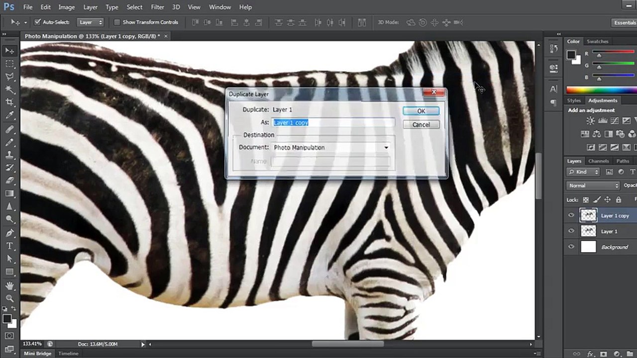 04.Removing the Zebra's Stripes