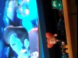 Opening To Blues Clues Cafe Blue 01 Vhs Video