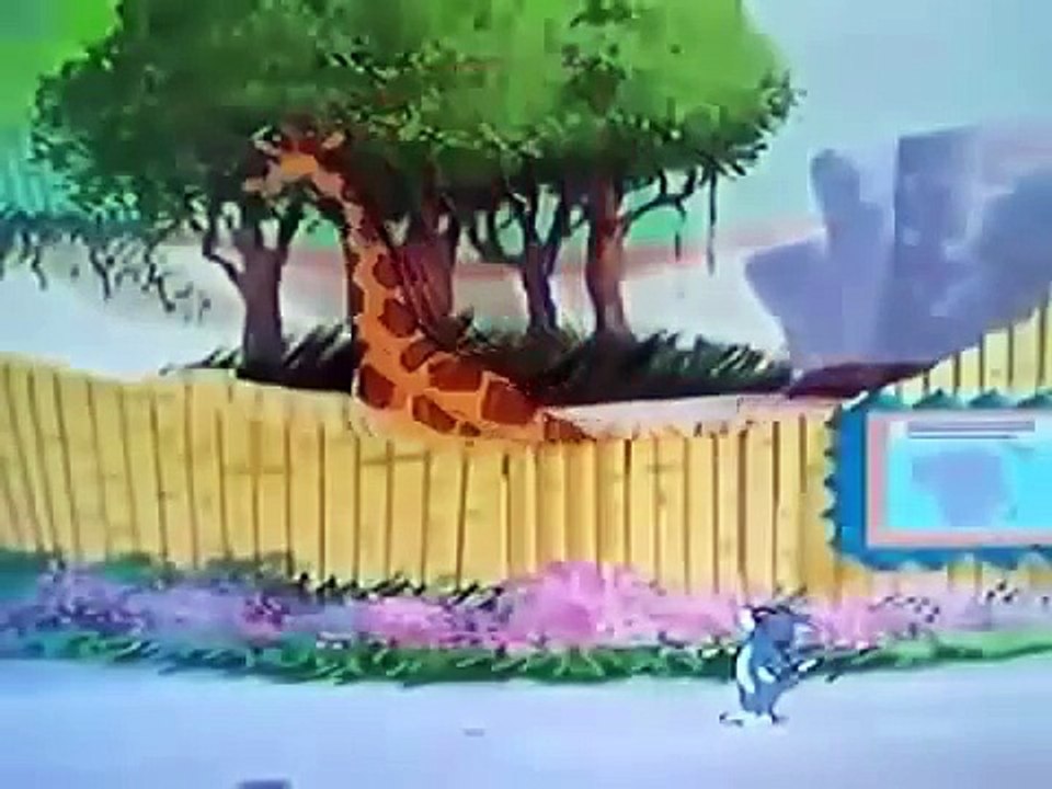 Tom and Jerry Cartoon Full Episode Tiger Cat NEW YouTube توم وجيرى جديد 2013