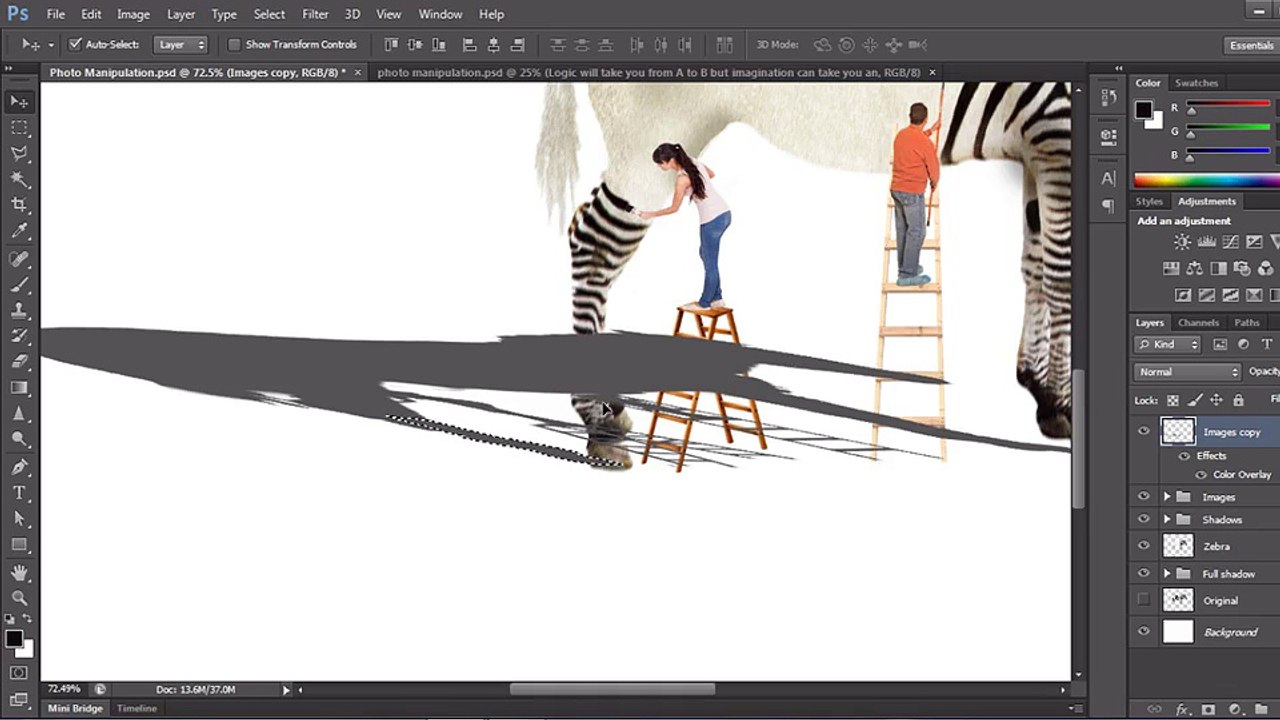 09.Correcting the flaws of the shadow