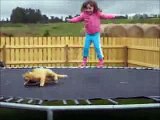 Funny & Cute Animals 2015 !!! Funny Animals Fails Funny Cats & Dogs Funny Pets