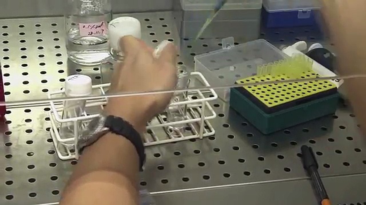 Stem cells  "the future" an introduction to iPS cells