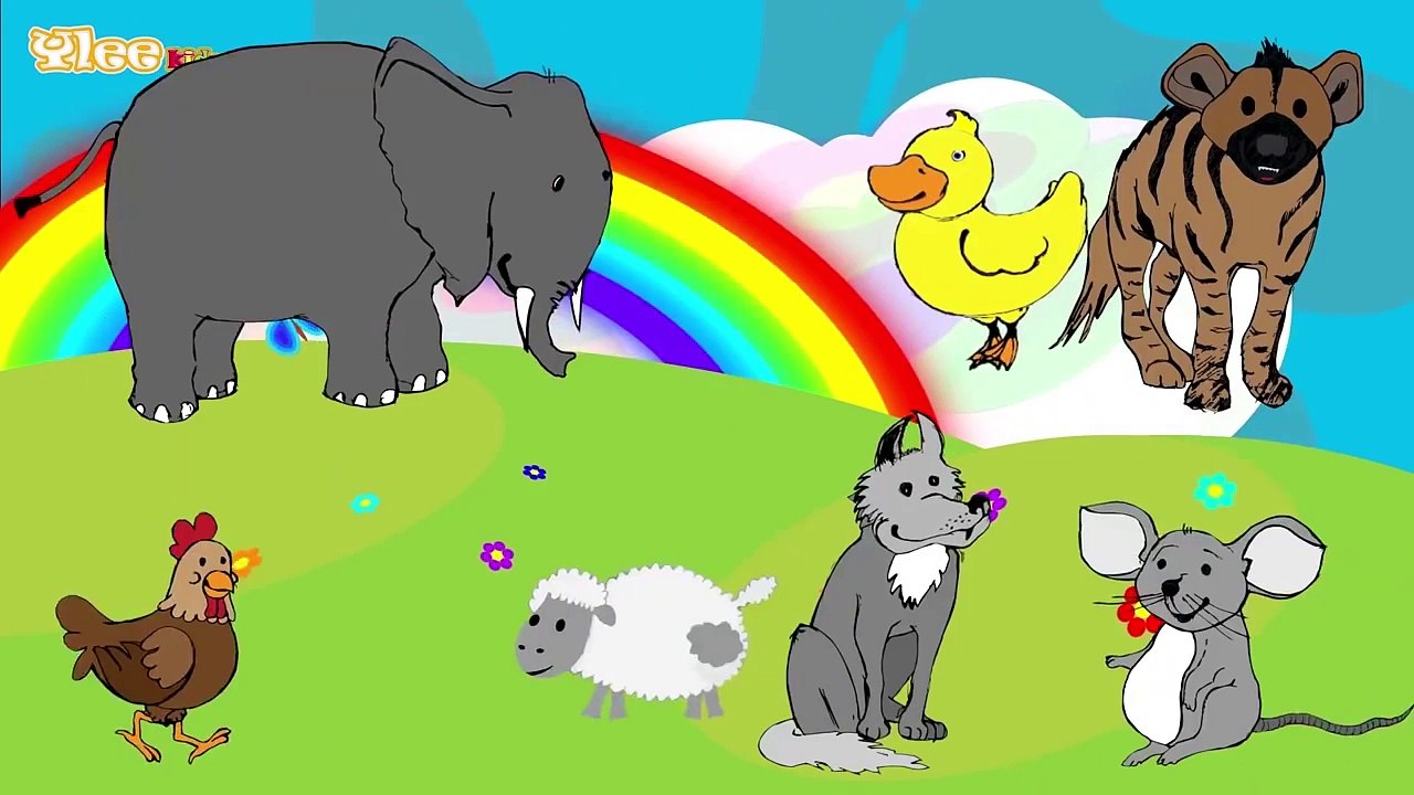 Canzone degli animali Canzone per bambini Yleekids