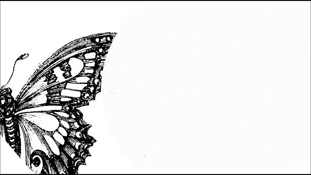 Ross Lynch (Austin & Ally) The Butterfly Song (Lyrics)