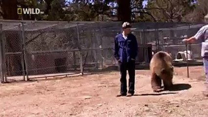 A Monkey Is Always Interesting For You