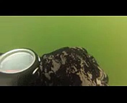 Подводная охота Пробы на Бородинском озере