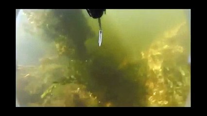 Подводная охота Сазан подборка выстелов Underwater hunting