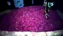 Leaked Midnight Video of Mumtaz Qadri Grave?what is going on ? watch