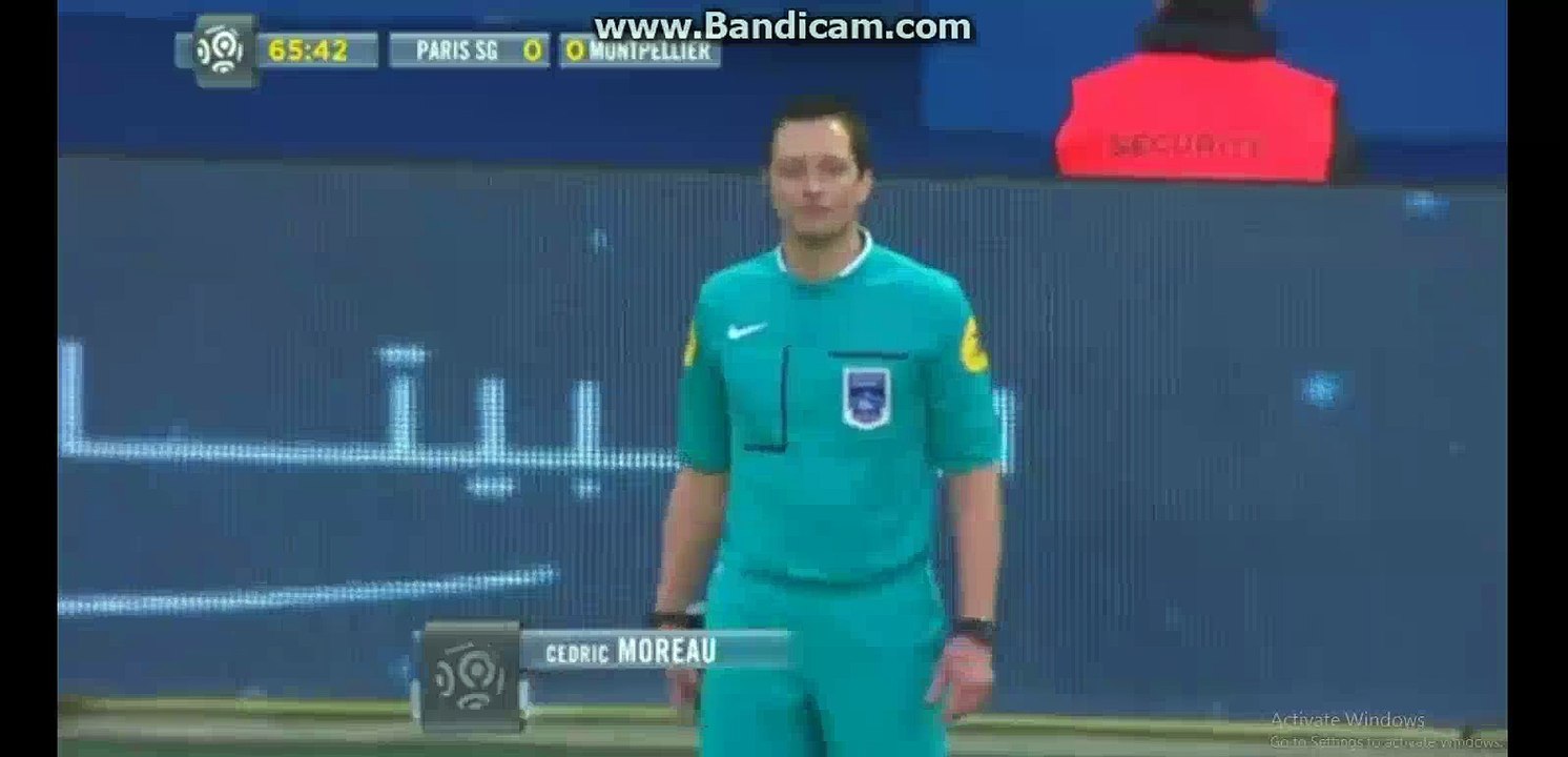 Zlatan Ibrahimovic Super SKIlLS | PSG 0-0 Montpellier 05-03-2016