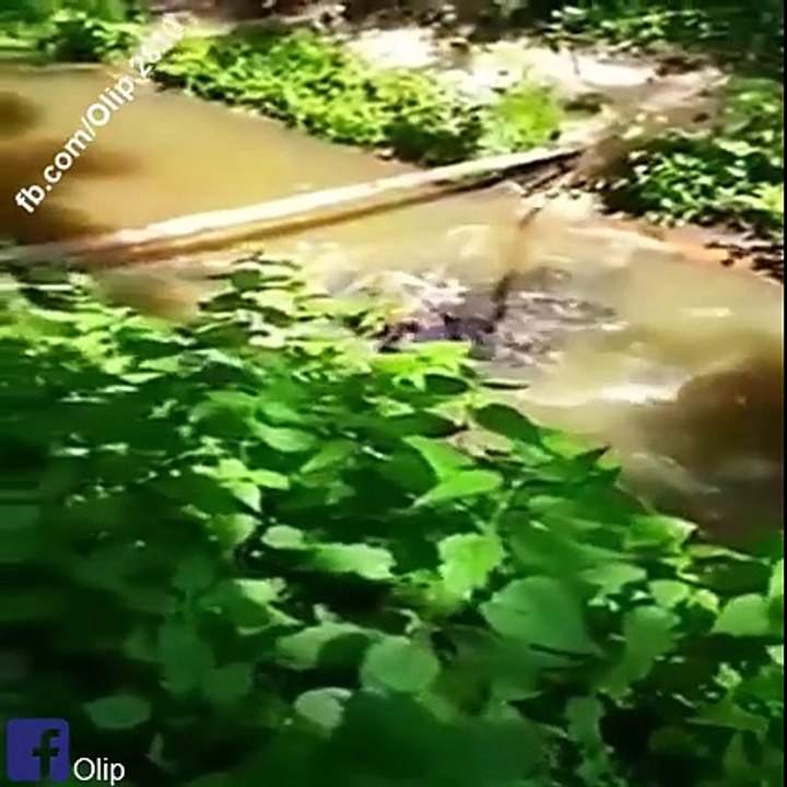 fail compilation 5