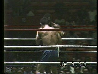 アントニオセルバンテスＶＳライオン古山２