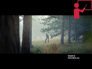 Stihl: The Final Cut