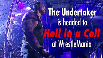 What you need to know about The Undertaker and Hell in a Cell