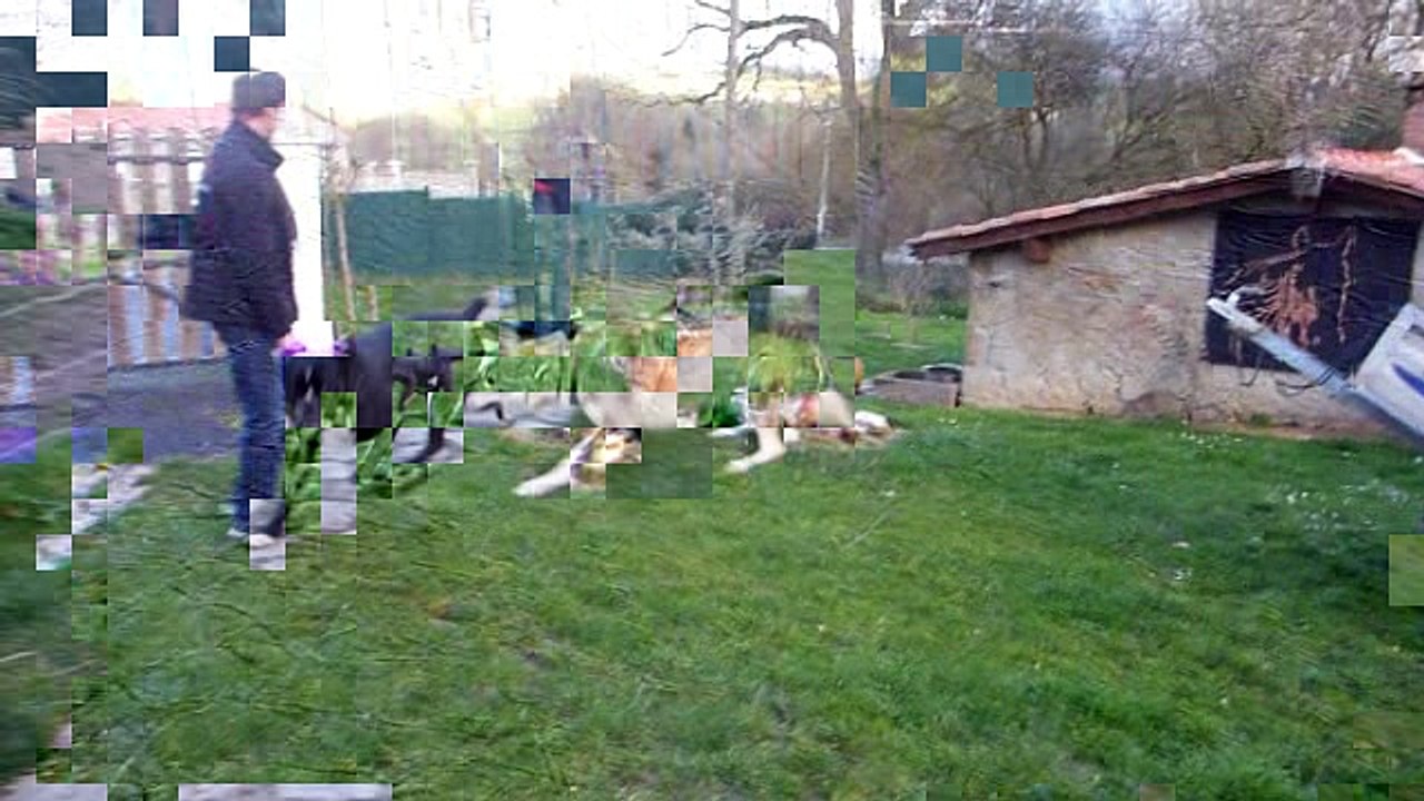 GRISOU 1 ere rencontre avec HASHKA