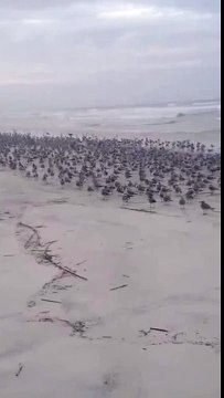 Никто тебя не любит