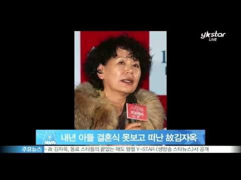 [Y-STAR] Kim Ja-Ok couldn't see her son's wedding (고 김자옥 빈소, 윤소정 '아들 결혼식 못 보고 떠나다니..')
