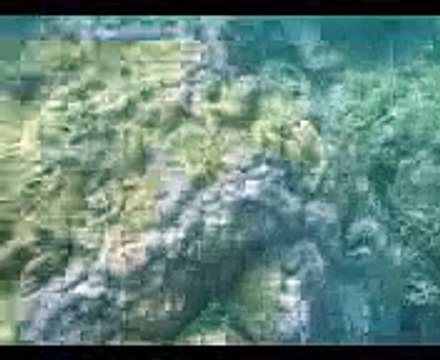 Дайвинг! Таиланд подводный мир!