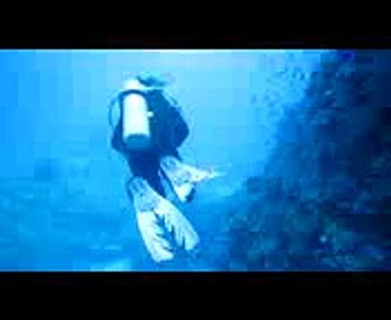 Дайвинг! Подводный мир коротко!