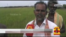 Droughts Drying Up Crop Yield in Sivagangai, Farmers Request Compensation