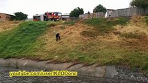 Animal Rescue- Dramatic Dog Rescue out of Flood Water