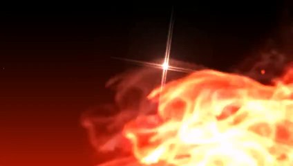 Ever seen an olive harvester in action?