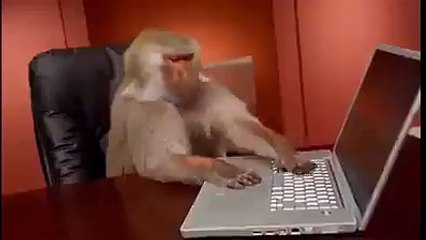 Monkey tries a hand on laptop || funny whatsapp videos