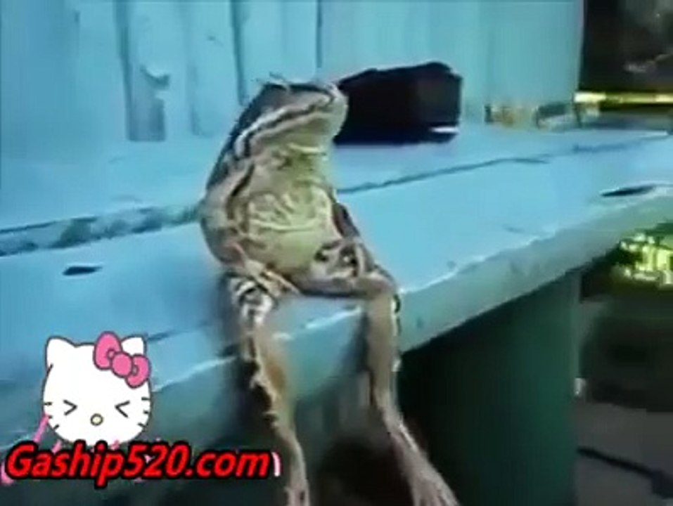 tuuroni
