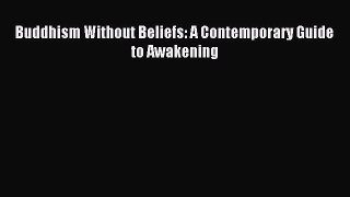 Read Buddhism Without Beliefs: A Contemporary Guide to Awakening Ebook Free