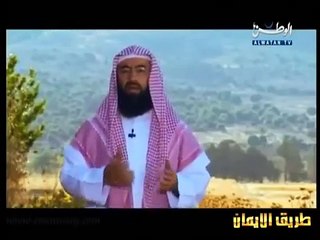 قصص الأنبياء الحلقة 23 - سيدنا داوود والتوراة