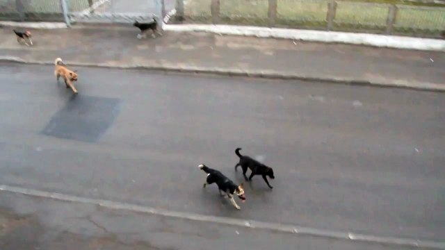 Реинкарнированные гаишники несут службу.