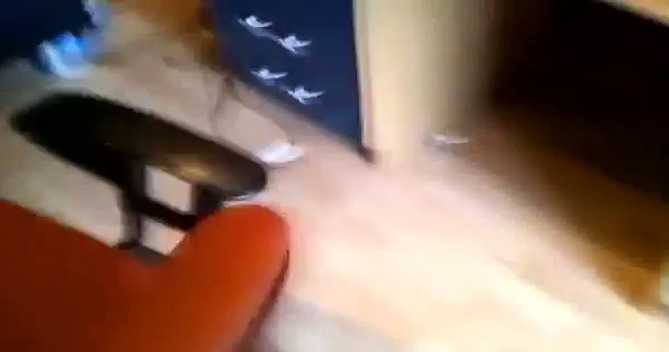 BEST Funny Videos 2014 Funny Cats Video Funny Cat Videos Ever Funny Animals Funny Fails 2014 2