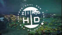 ZingHD - Nice Ocean (Original Mix)